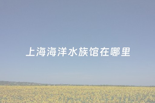 上海海洋水族馆在哪里（上海海洋水族馆在哪个地方）