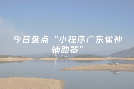 今日盘点“小程序广东雀神辅助器”（详细开挂教程）-哔哩哔哩