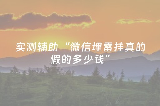 实测辅助“微信埋雷挂真的假的多少钱”（详细透视教程）-哔哩哔哩