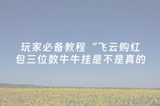 玩家必备教程“飞云购红包三位数牛牛挂是不是真的有”（详细透视教程）-哔哩哔哩