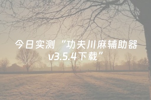今日实测“功夫川麻辅助器v3.5.4下载”（详细开挂教程）-哔哩哔哩