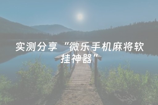 实测分享“微乐手机麻将软挂神器”（详细辅助教程）-哔哩哔哩