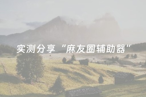 实测分享“麻友圈辅助器”（详细透视教程）-哔哩哔哩