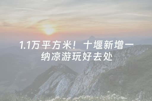 五台山志愿红马甲 让旅游更有温度