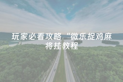 玩家必看攻略“微乐捉鸡麻将挂教程（助赢神器通用版）