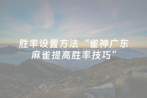胜率设置方法“雀神广东麻雀提高胜率技巧”（详细透视教程）-哔哩哔哩
