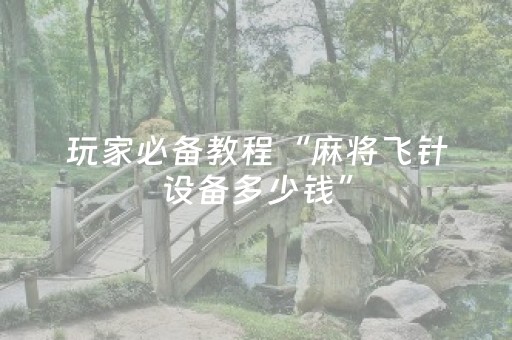 玩家必备教程“麻将飞针设备多少钱”（详细透视教程）-哔哩哔哩