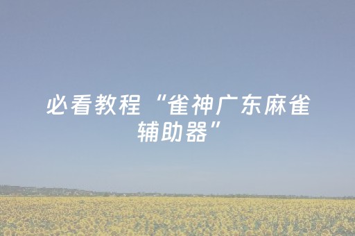 必看教程“雀神广东麻雀辅助器”（详细透视教程）-哔哩哔哩