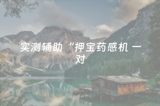 实测辅助“押宝药感机 一对（专用辅牌神器免安装）
