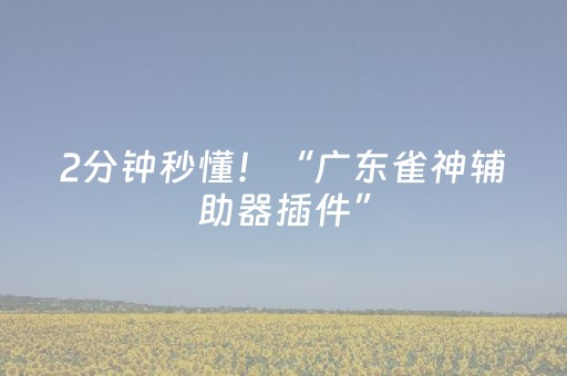 2分钟秒懂！“广东雀神辅助器插件”（详细开挂教程）-哔哩哔哩