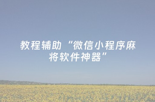 教程辅助“微信小程序麻将软件神器”（详细透视教程）-哔哩哔哩