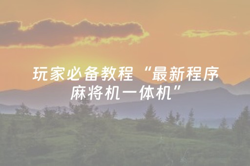 玩家必备教程“最新程序麻将机一体机”（详细透视教程）-哔哩哔哩