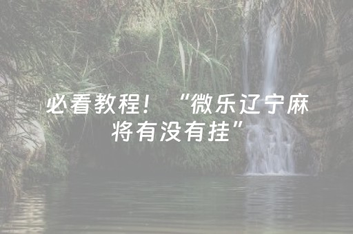 必看教程！“微乐辽宁麻将有没有挂”（详细辅助教程）-哔哩哔哩