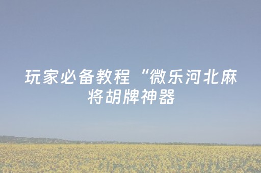 玩家必备教程“微乐河北麻将胡牌神器（专用辅牌神器免安装）