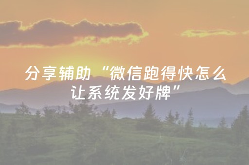 分享辅助“微信跑得快怎么让系统发好牌”（详细透视教程）-哔哩哔哩