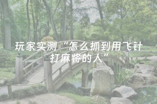 玩家实测“怎么抓到用飞针打麻将的人”（详细透视教程）-哔哩哔哩