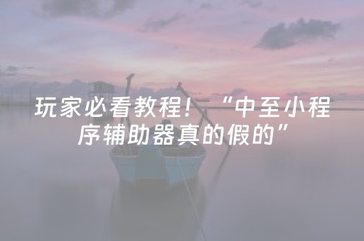 玩家必看教程！“中至小程序辅助器真的假的”（详细辅助教程）-哔哩哔哩