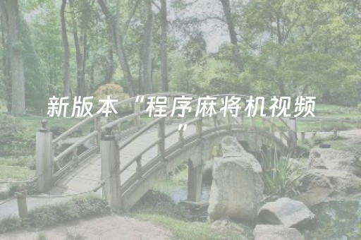 新版本“程序麻将机视频”（详细透视教程）-哔哩哔哩
