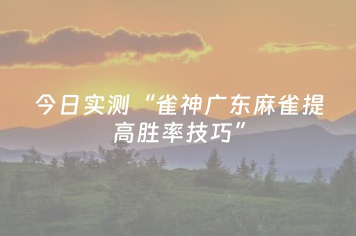 今日实测“雀神广东麻雀提高胜率技巧”（详细透视教程）-哔哩哔哩