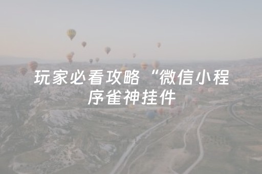玩家必看攻略“微信小程序雀神挂件（专用辅牌神器免安装）