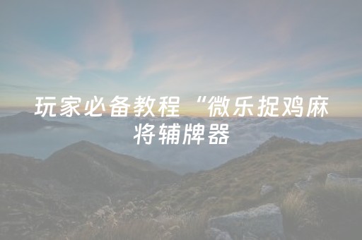 玩家必备教程“微乐捉鸡麻将辅牌器（专用辅牌神器免安装）