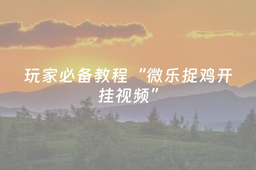 玩家必备教程“微乐捉鸡开挂视频”（详细透视教程）-哔哩哔哩