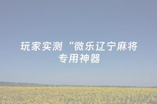 玩家实测“微乐辽宁麻将专用神器（专用辅牌神器免安装）
