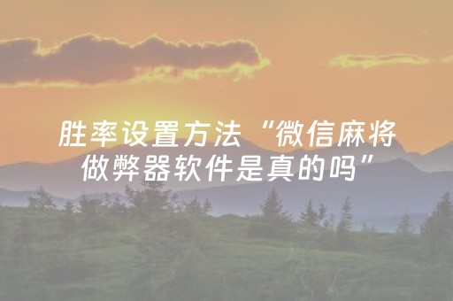 胜率设置方法“微信麻将做弊器软件是真的吗”（详细透视教程）-哔哩哔哩
