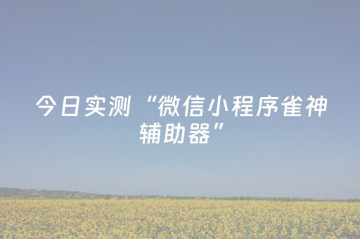 今日实测“微信小程序雀神辅助器”（详细开挂教程）-哔哩哔哩