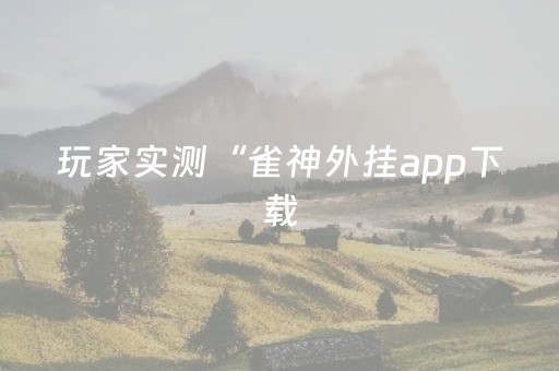 玩家实测“雀神外挂app下载（助赢神器通用版）