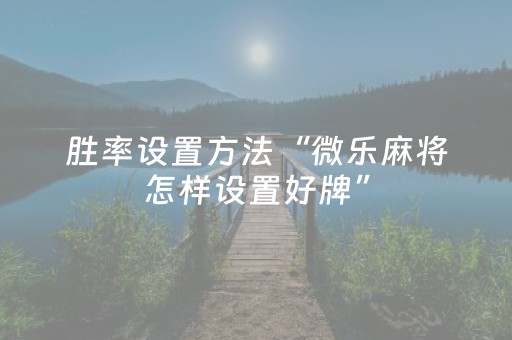 胜率设置方法“微乐麻将怎样设置好牌”（详细透视教程）-哔哩哔哩