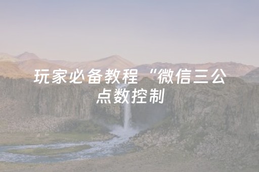 玩家必备教程“微信三公点数控制（专用辅牌神器免安装）