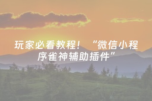 玩家必看教程！“微信小程序雀神辅助插件”（详细开挂教程）-哔哩哔哩