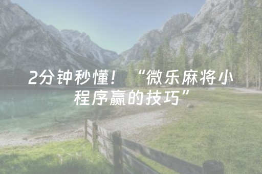2分钟秒懂！“微乐麻将小程序赢的技巧”（详细辅助教程）-哔哩哔哩