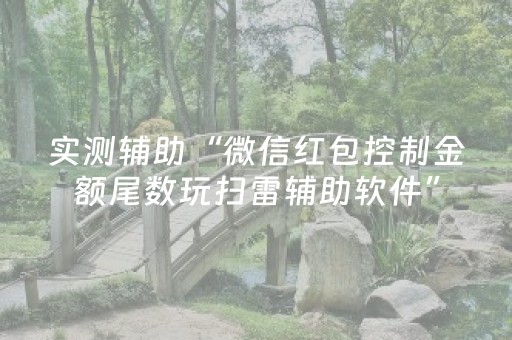 实测辅助“微信红包控制金额尾数玩扫雷辅助软件”（详细透视教程）-哔哩哔哩