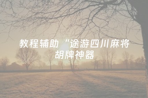 教程辅助“途游四川麻将胡牌神器（专用辅牌神器免安装）