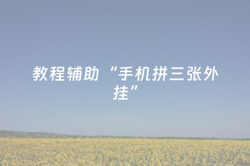 教程辅助“手机拼三张外挂”（详细透视教程）-哔哩哔哩