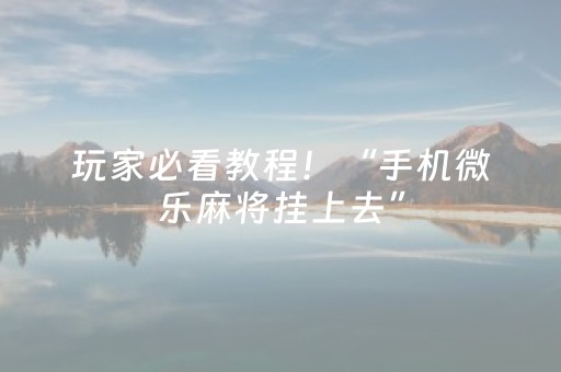 玩家必看教程！“手机微乐麻将挂上去”（详细辅助教程）-哔哩哔哩