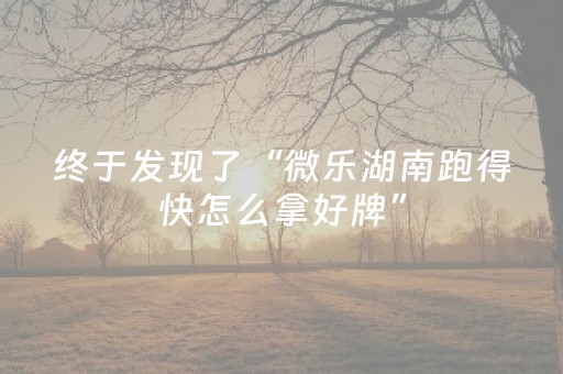 终于发现了“微乐湖南跑得快怎么拿好牌”（详细透视教程）-哔哩哔哩