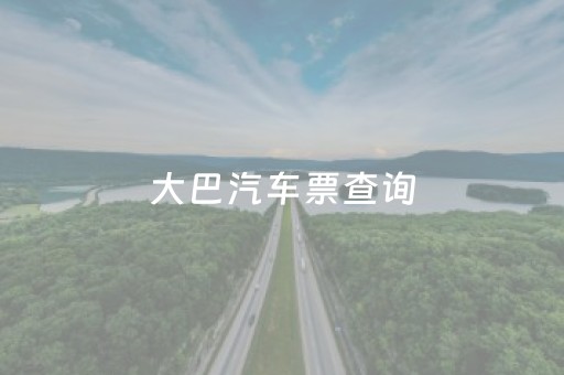 大巴汽车票查询（大巴汽车票查询菏泽到黄骅）