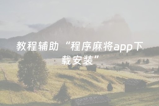 教程辅助“程序麻将app下载安装”（详细透视教程）-哔哩哔哩