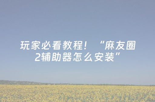 玩家必看教程！“麻友圈2辅助器怎么安装”（详细辅助教程）-哔哩哔哩
