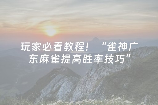 玩家必看教程！“雀神广东麻雀提高胜率技巧”（详细辅助教程）-哔哩哔哩