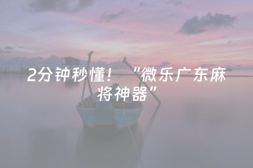 2分钟秒懂！“微乐广东麻将神器”（详细辅助教程）-哔哩哔哩