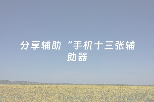 分享辅助“手机十三张辅助器（助赢神器通用版）