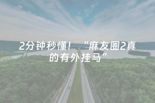 2分钟秒懂！“麻友圈2真的有外挂马”（详细辅助教程）-哔哩哔哩