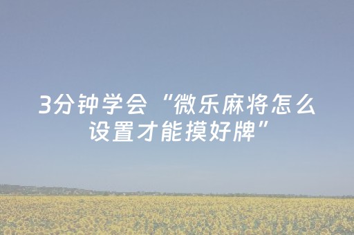 3分钟学会“微乐麻将怎么设置才能摸好牌”（详细透视教程）-哔哩哔哩