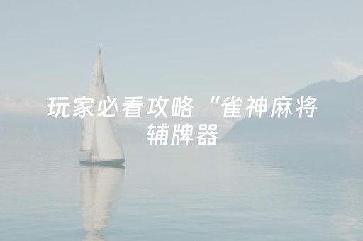 玩家必看攻略“雀神麻将辅牌器（专用辅牌神器免安装）