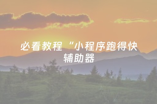 必看教程“小程序跑得快辅助器（专用辅牌神器免安装）