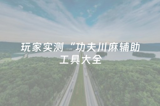 玩家实测“功夫川麻辅助工具大全（助赢神器通用版）